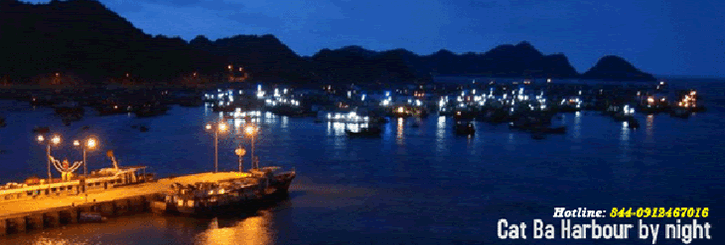 catba harbour by night
