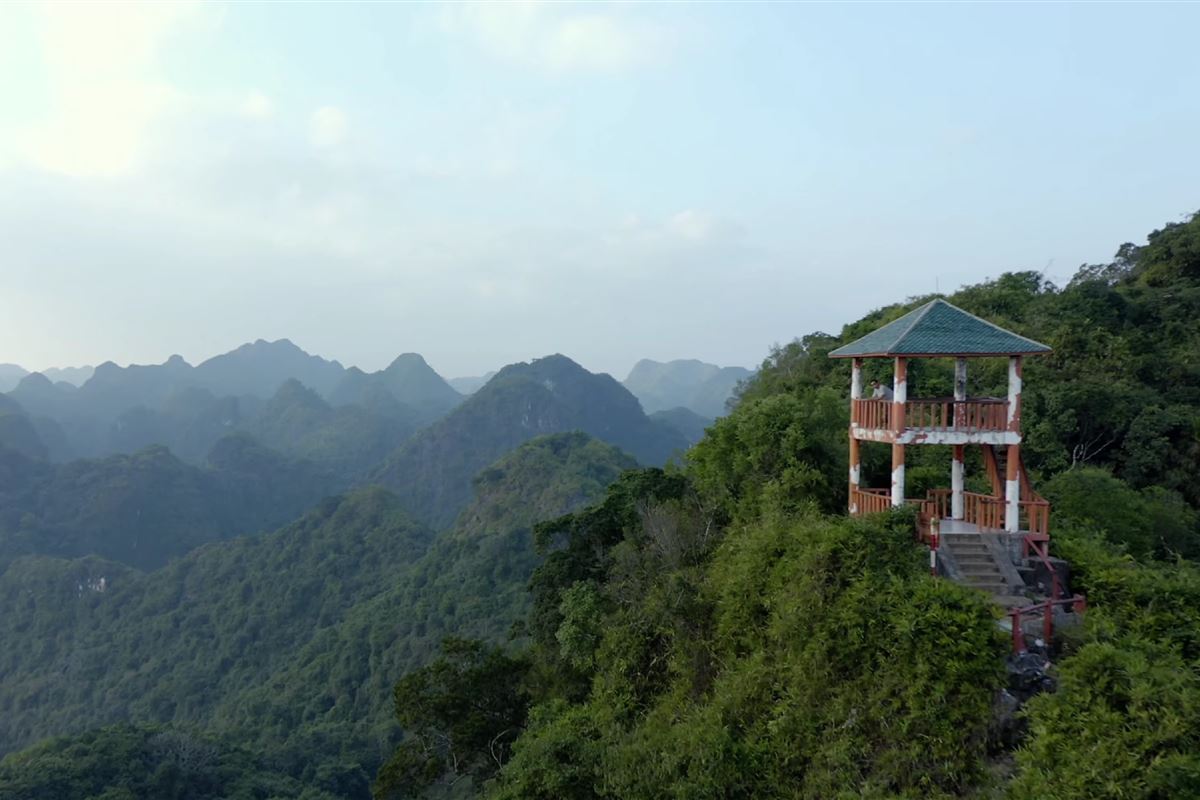 Khám phá Vườn Quốc gia Cát Bà: Trái tim Khu dự trữ sinh quyển thế giới