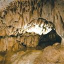 Tour nửa ngày: Khám Phá Rừng Ngập Mặn - Động Thiên Long - Thăm Miền Đất Rồng