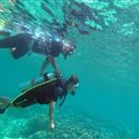 Lặn Ngắm San Hô Cát Bà: Khám Phá Thế Giới Đại Dương Rực Rỡ Sắc Màu