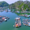 Tour 5 giờ: Thăm Làng Chài - Ngắm Hoàng Hôn và Sinh Vật Phát Sang Vịnh Lan Hạ