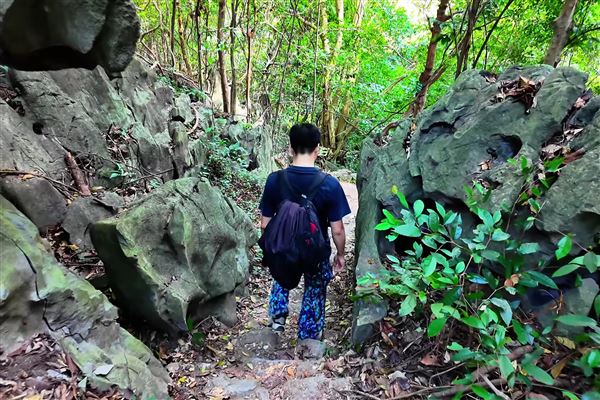 Tour nửa ngày: Đi bộ xuyên Vườn Quốc Gia Cát Bà và Chinh Phục Đỉnh Ngự Lâm