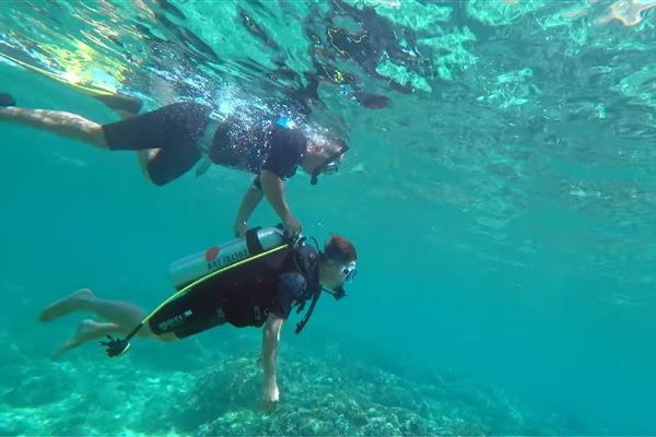 Tour 1 Ngày Cát Bà: Câu Cá - Chèo thuyền Kayak Vịnh Lan Hạ - Lặn ngắm san hô