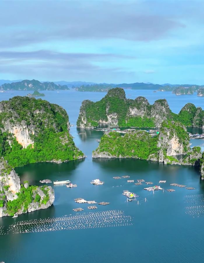 Vịnh Bái Tử Long