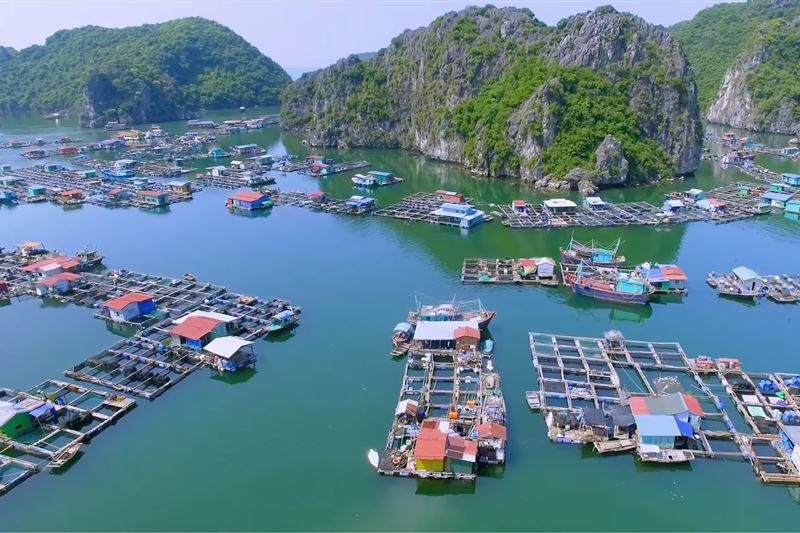  Tour Cát Bà 1 Ngày: Khám phá vịnh Lan Hạ  – Chèo thuyền Kayak - Thăm Hang động