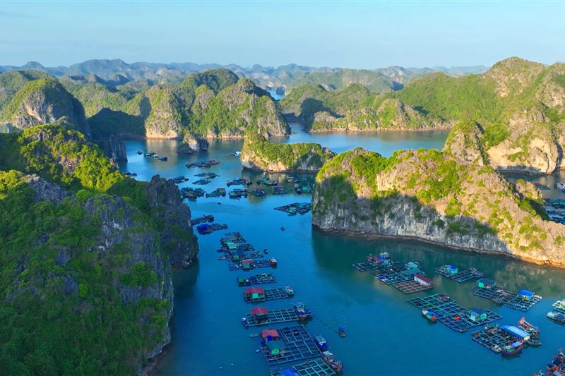  Tour Cát Bà 2 Ngày: Du thuyền trên vịnh – Chèo thuyền Kayak – Cắm Trại Bãi Biển