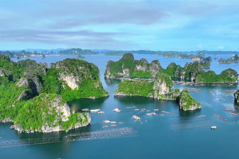  Tour Cát Bà 3 Ngày: Du thuyền - Chèo thuyền Kayak - Đạp xe - Đi bộ trong rừng