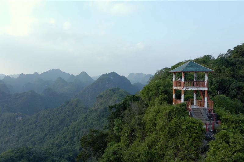  Tour Cát Bà 1 Ngày: Đi bộ xuyên rừng - Thăm làng cổ Việt Hải – Đạp Xe ngắm vịnh