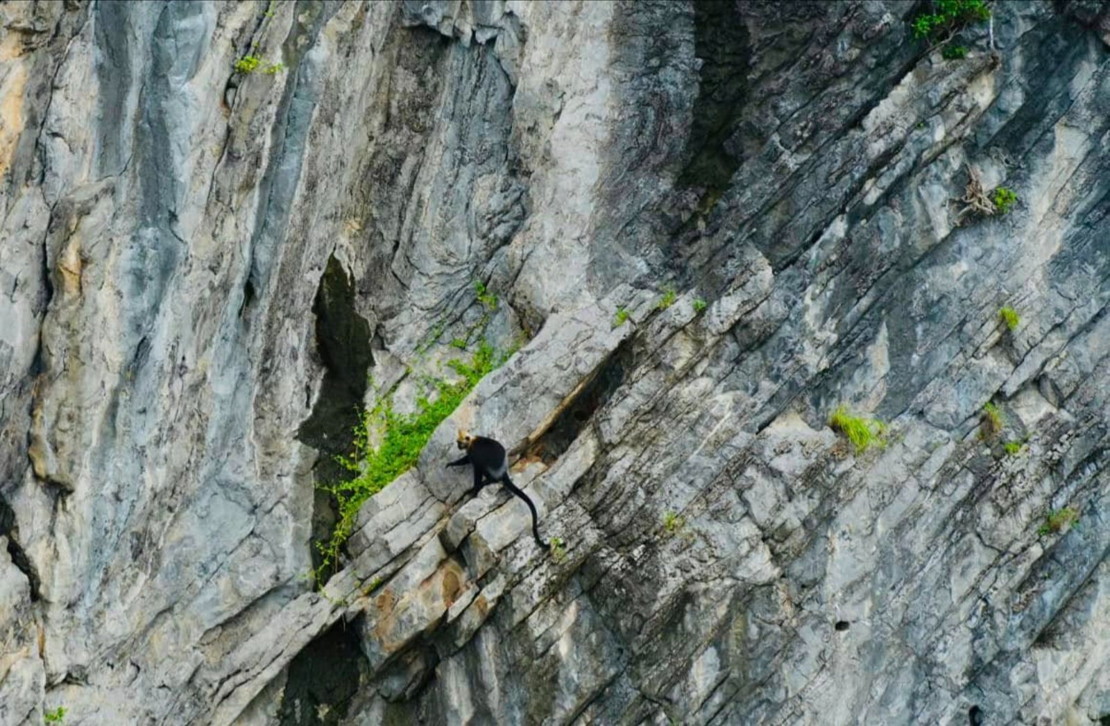 Cách di chuyển đến Đảo Khỉ