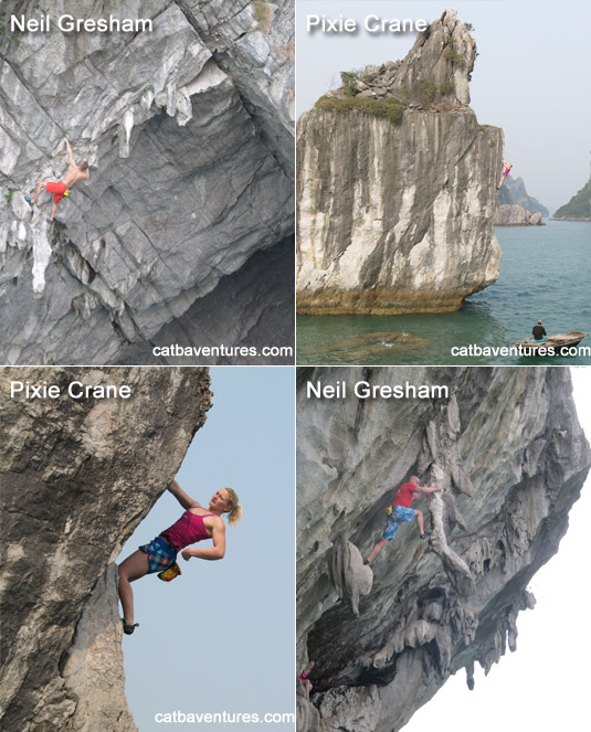 leo-dinh-ngu-lam-cat-ba-0005